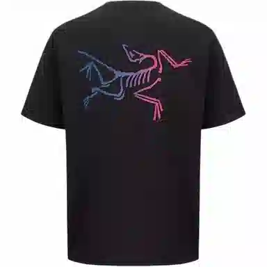 Arcteryx KRAGG cotton logoT