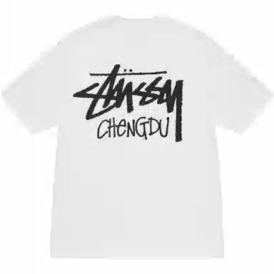 Stussy SS25