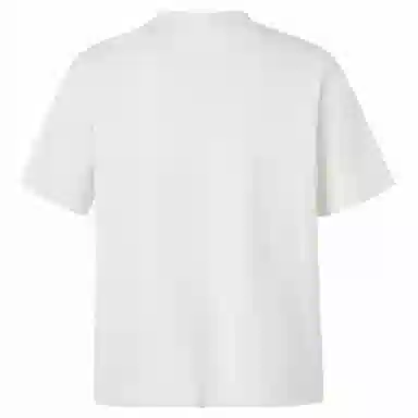 DANGERTIGER T