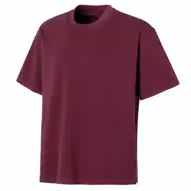DANGERTIGER T