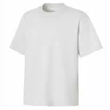 DANGERTIGER T