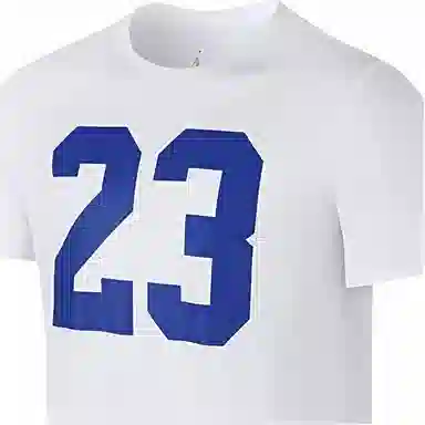 Jordan Air Jordan Crewneck T-Shirt White