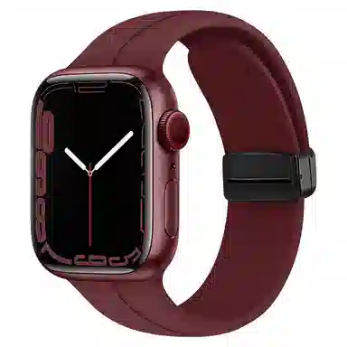 DUALMM 245mm apple watch S7 S8 S9 S10 SE Ultra 2