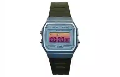 CASIO F-91WS-2