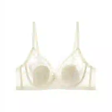 内在密码 大胸显小法式蕾丝软钢圈防下垂性感文胸 女款