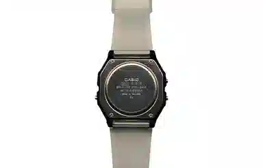CASIO F-91WS-2