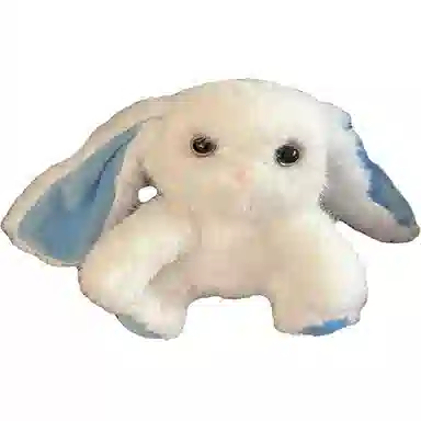 25cm