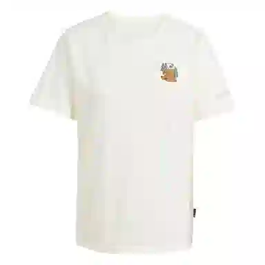 adidas Terrex POLYGIENE GRAPHIC T
