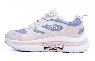 VOIT X1