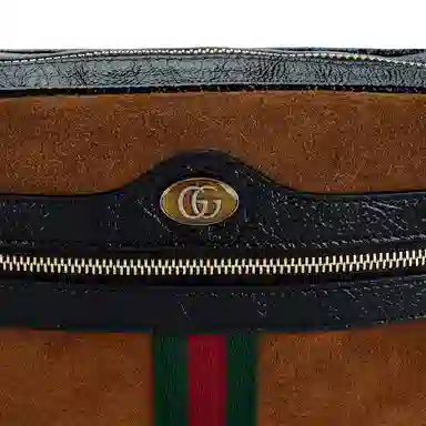 Gucci Ophidia Camera Bag