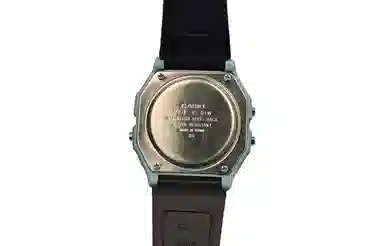 CASIO F-91WS-2