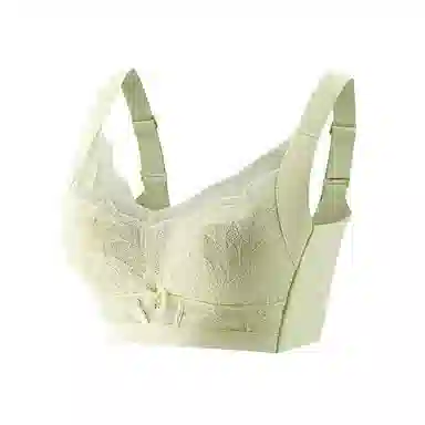 欧迪芬 柔软亲肤聚拢上托防下垂大胸显小收副乳文胸 女款