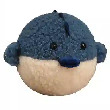 15cm
