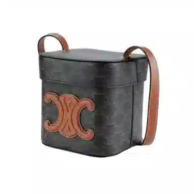 Celine Triomphe Box Brown