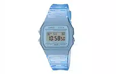 CASIO F-91WS-2