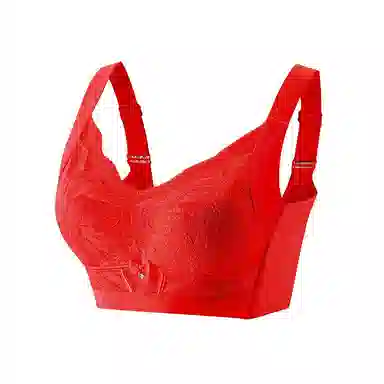 欧迪芬 柔软亲肤聚拢上托防下垂大胸显小收副乳文胸 女款