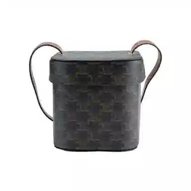 Celine Triomphe Box Brown