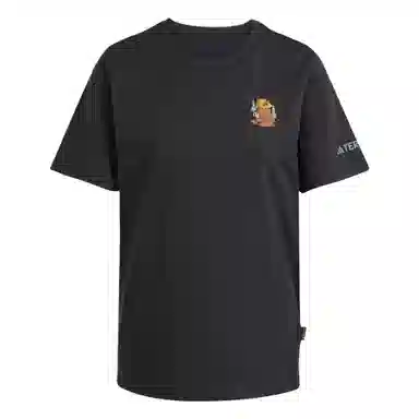 adidas Terrex POLYGIENE GRAPHIC T