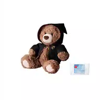 MINISO x HARRY POTTER Gifford Bear
