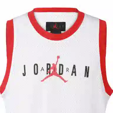 Jordan Air Jumpman Sport DNA