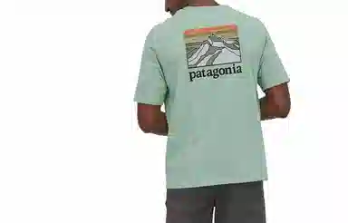 patagonia Responsibili-Tee Logo T