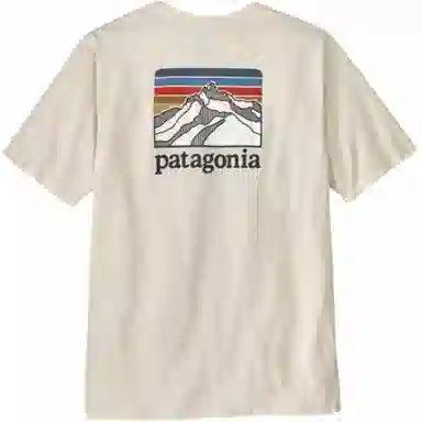 patagonia Responsibili-Tee Logo T