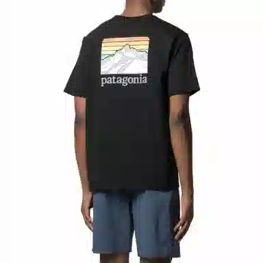 patagonia Responsibili-Tee Logo T
