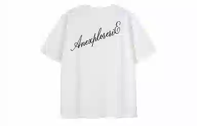 IE logoT