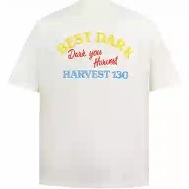 PISYPOX T