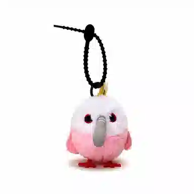 Jinnew