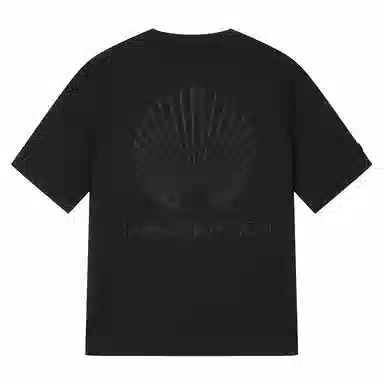 Palladium T