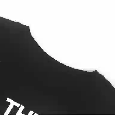 THE NORTH FACE Logo T