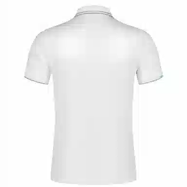 Automobili Lamborghini logoPolo