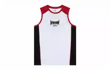 VEIDOORN