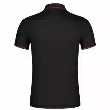 Automobili Lamborghini LogoPolo