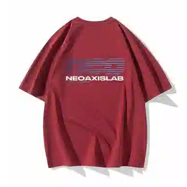 NEOAXIS T