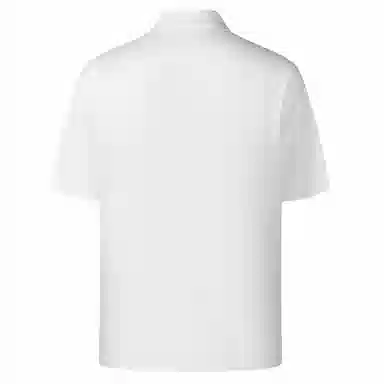 Automobili Lamborghini logoPolo