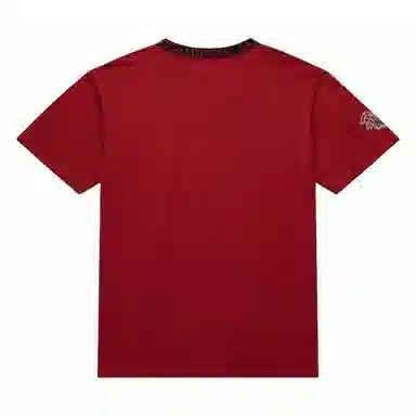 Mitchell Ness x NCAA South Carolina Gamecocks Jacquard Ringer T