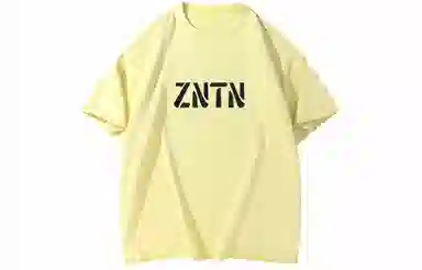 ZNTN T