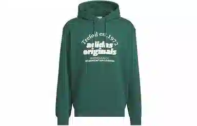 adidas originals GRAPHIC HOODIE