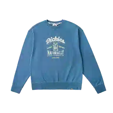 DIckies 24