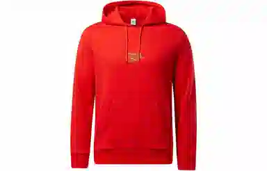 Reebok x KUNG FU PANDA Hoodie