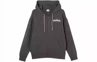 PUMA TEAM FZ HOODIE