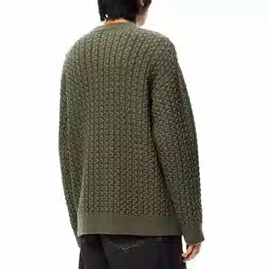 LOEWE Sweater Green