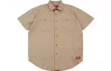 Dickies Logo