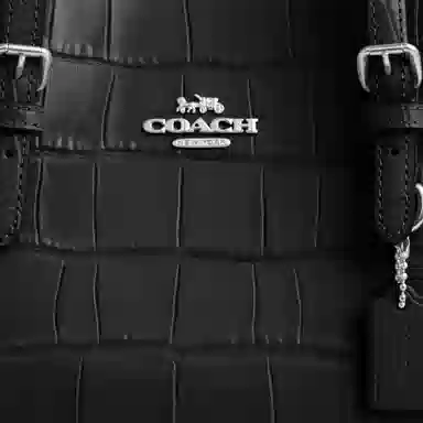 Coach Mollie Tote 25