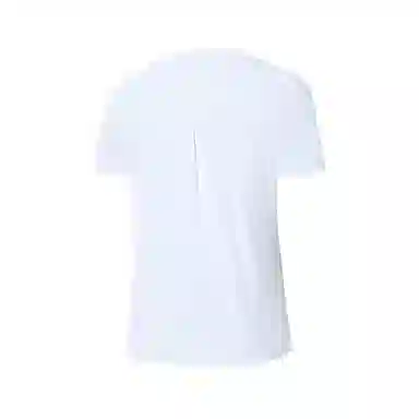 RAPIDO PREMIUM SS25T