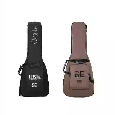 PRS SA22(Swamp Ash Special) 22