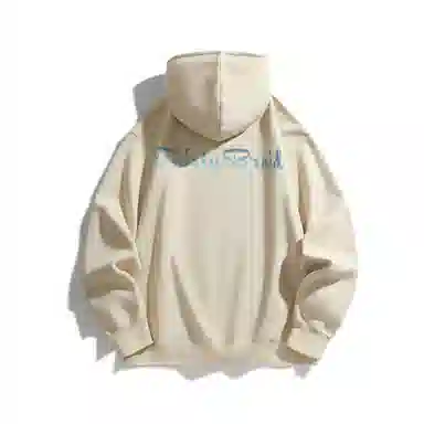 30BRAID Hoodie
