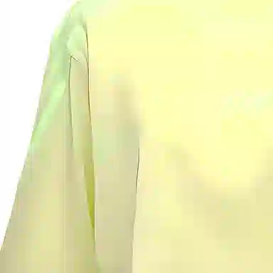 adidas x IVY PARK IVY PARK T